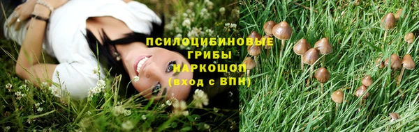 дурь Абдулино
